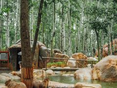 -北京野生动物园