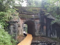 -武夷山风景名胜区-玉女峰
