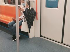 -杨高南路(地铁站)