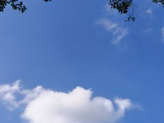 -南宁花花大世界景区