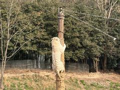-宁波野生动物园