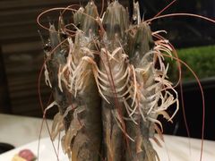 -阳光码头海鲜火锅(世纪大道店)