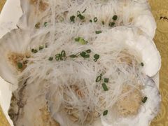 -鸿达渔港