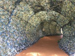 -北海金海湾红树林生态旅游区