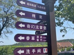 -大塘金香草谷