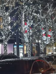 -美丽田园Beauty Farm