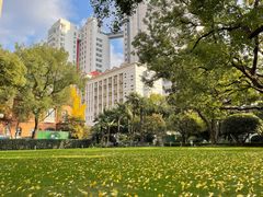 -复旦大学附属华山医院(总院)