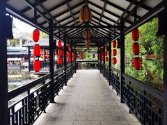 -侨美·唐荔园·40年地道粤菜