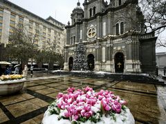 -王府井天主教堂