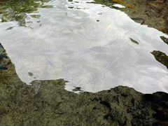 -珠海长隆海洋王国