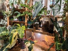 -Rabbit Cafe私房西餐甜点咖啡(栖霞路店)