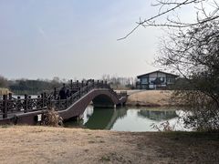 -南湖湿地公园