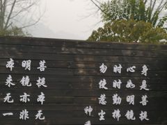 -禅驿嘉定院子-禅欢江景餐厅·中餐·户外烧烤定制(乐山大佛店)