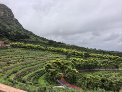 -密云玫瑰情园