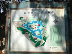 -叶家花园