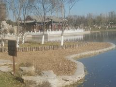 -西海子公园