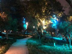 -运河游船(武林门码头)