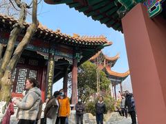 -戏马台景区