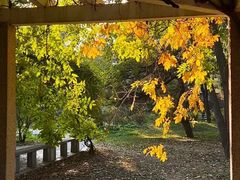 -国家植物园南园