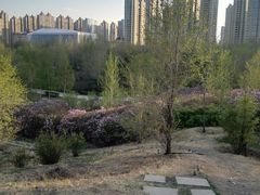 -群力丁香公园