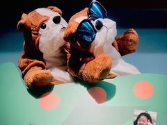 -宜家家居(哈尔滨商场店)