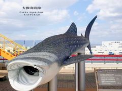 -大阪海游馆