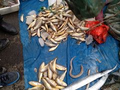 -青岛沙子口国家中心渔港