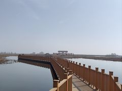 -白洋淀风景区