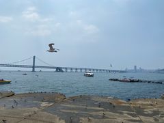 -星海广场