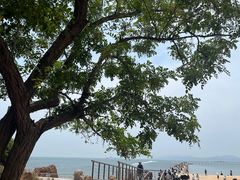 -青岛第二海水浴场