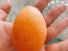 -菜园坝水果市场