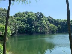 -王借岗森林公园
