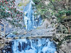 -东天目山风景区