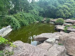 -圩墩遗址公园