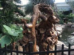 -龙达温泉生态城