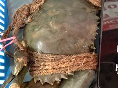 -龙海鲜螃蟹王(宏茂桥店)