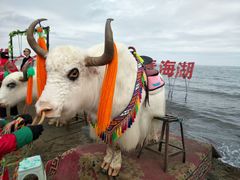 -青海湖国家重点风景名胜区