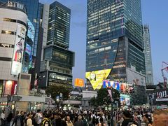 -涩谷全向十字路口