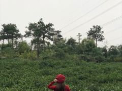 -汤山温泉房车营地 茶温泉