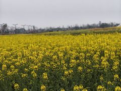 -中国天府农业博览园