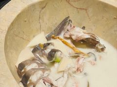 -云海肴云南菜·蒸汽石锅鱼(青岛万象城店)