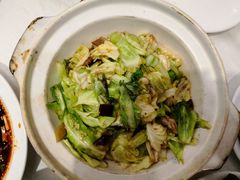 酱爆莲白-金龙渔港(双楠店)