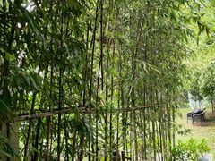 -福建鲤鱼洲酒店