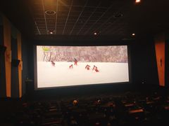 -AMG海上明珠影城(上海环球港RealDCinema店)