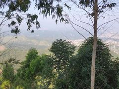 -神光山国家森林公园