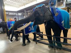 -东芭乐园