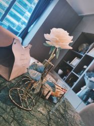-颐休月子会所(杭州旗舰店)