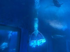 -太平洋海底世界