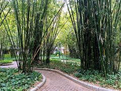 -晓港公园
