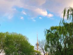 -玲珑塔公园